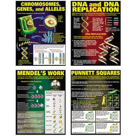Mcdonald DNA And Heredity Poster Set TCRP128